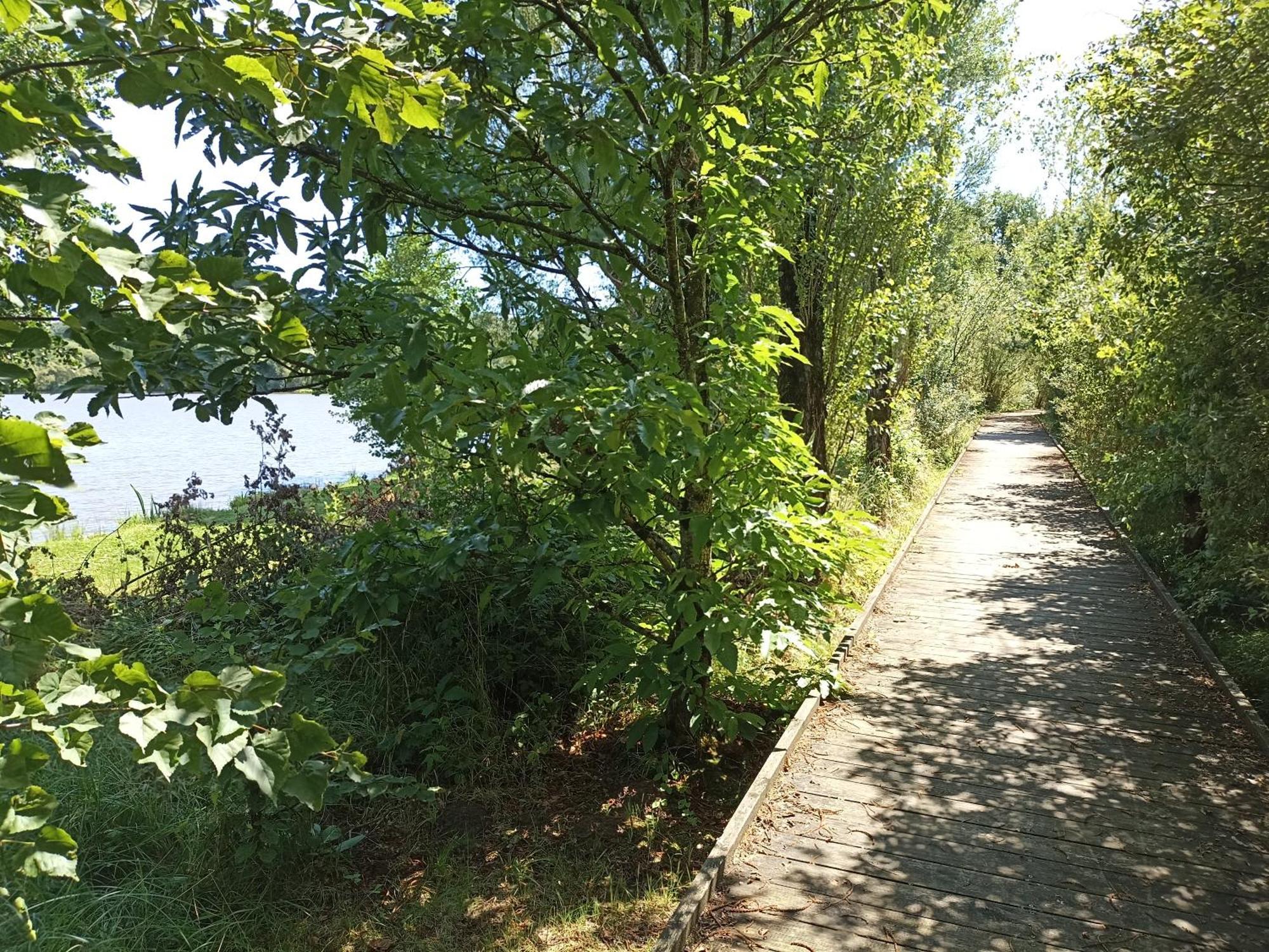 Gite Nature Et Detente Aubréville Exterior foto
