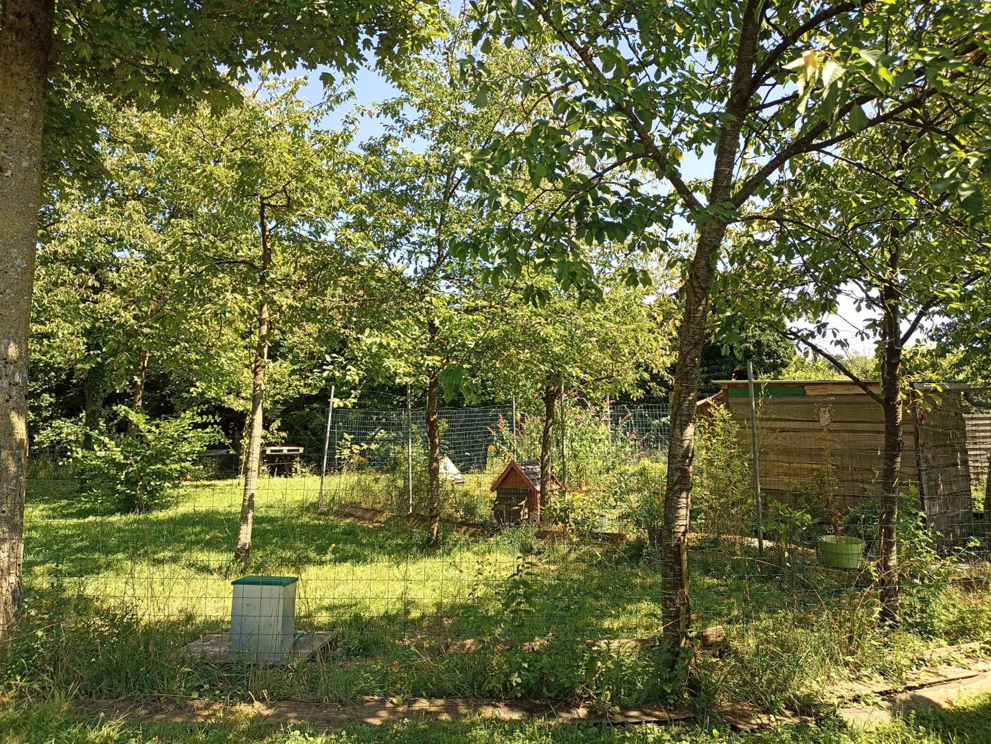 Gite Nature Et Detente Aubréville Exterior foto